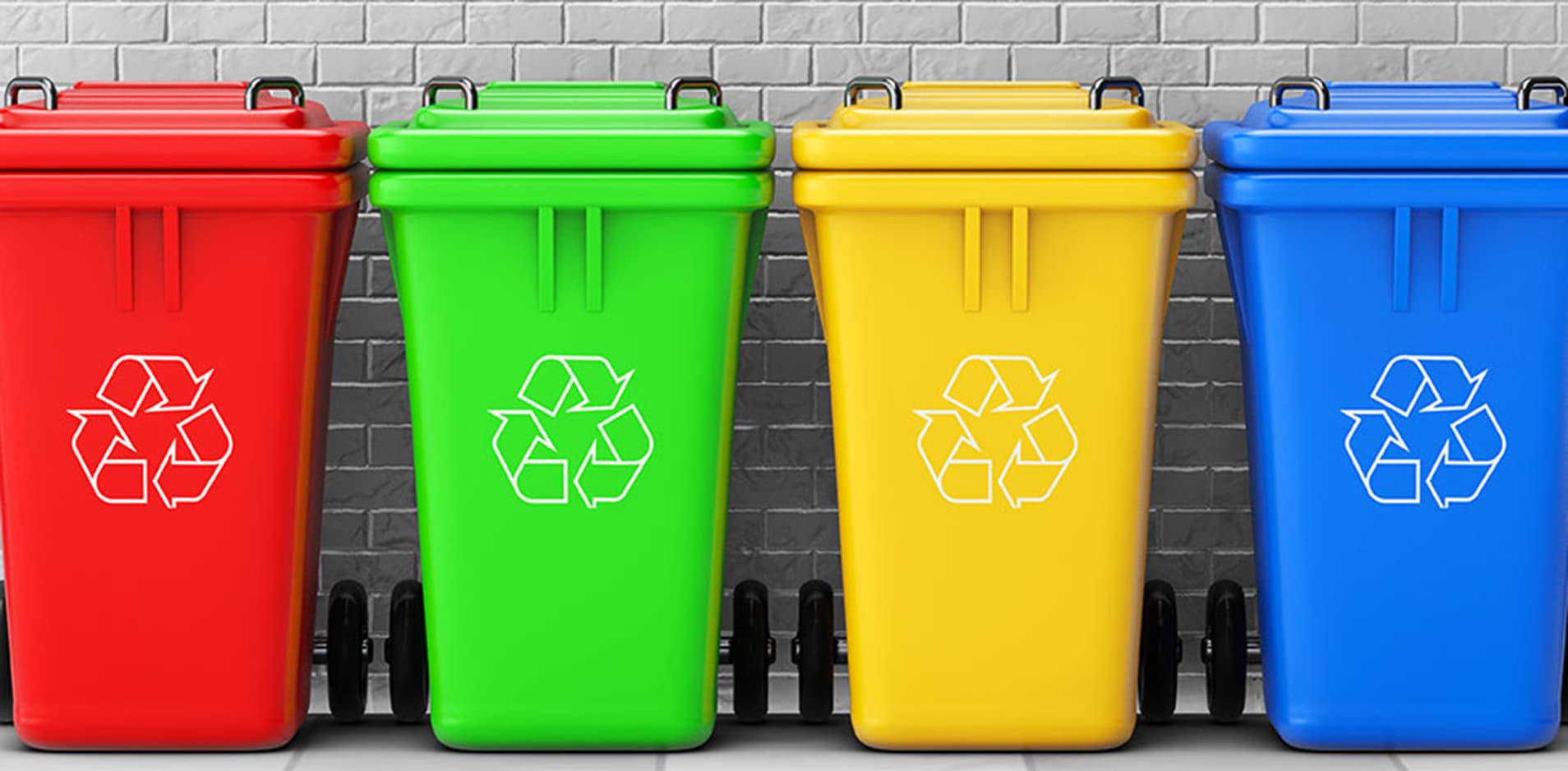 Сортування сміття у Словаччині: що потрібно знати іноземцям